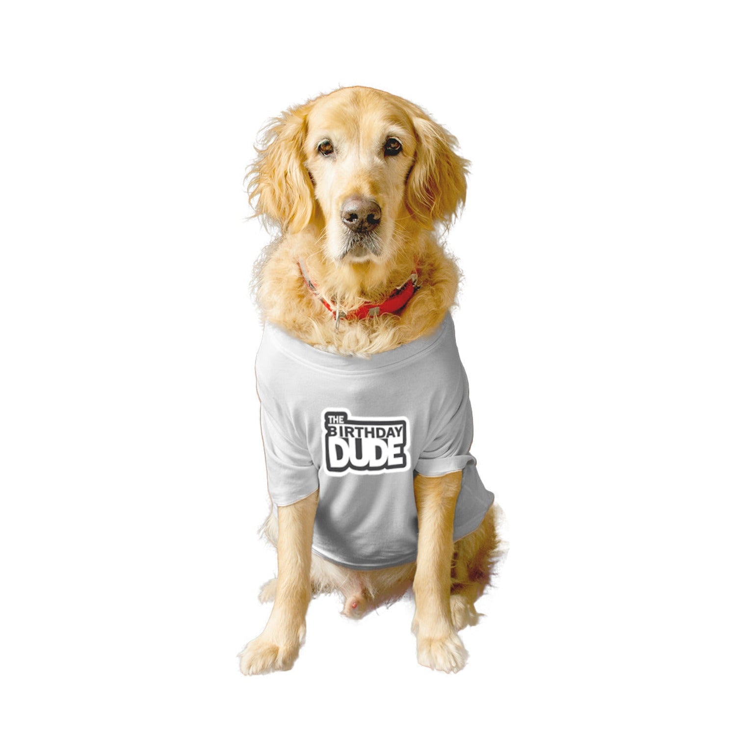 Ruse XX-Small (Chihuahuas, Papillons) / White Ruse Basic Crew Neck "The Birthday Dude" Printed Half Sleeves Dog Tee3