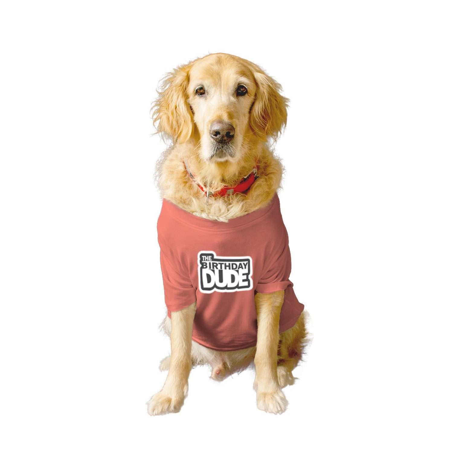 Ruse XX-Small (Chihuahuas, Papillons) / Salmon Ruse Basic Crew Neck "The Birthday Dude" Printed Half Sleeves Dog Tee7