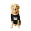Ruse XX-Small (Chihuahuas, Papillons) / Black Ruse Basic Crew Neck "The Birthday Dude" Printed Half Sleeves Dog Tee8