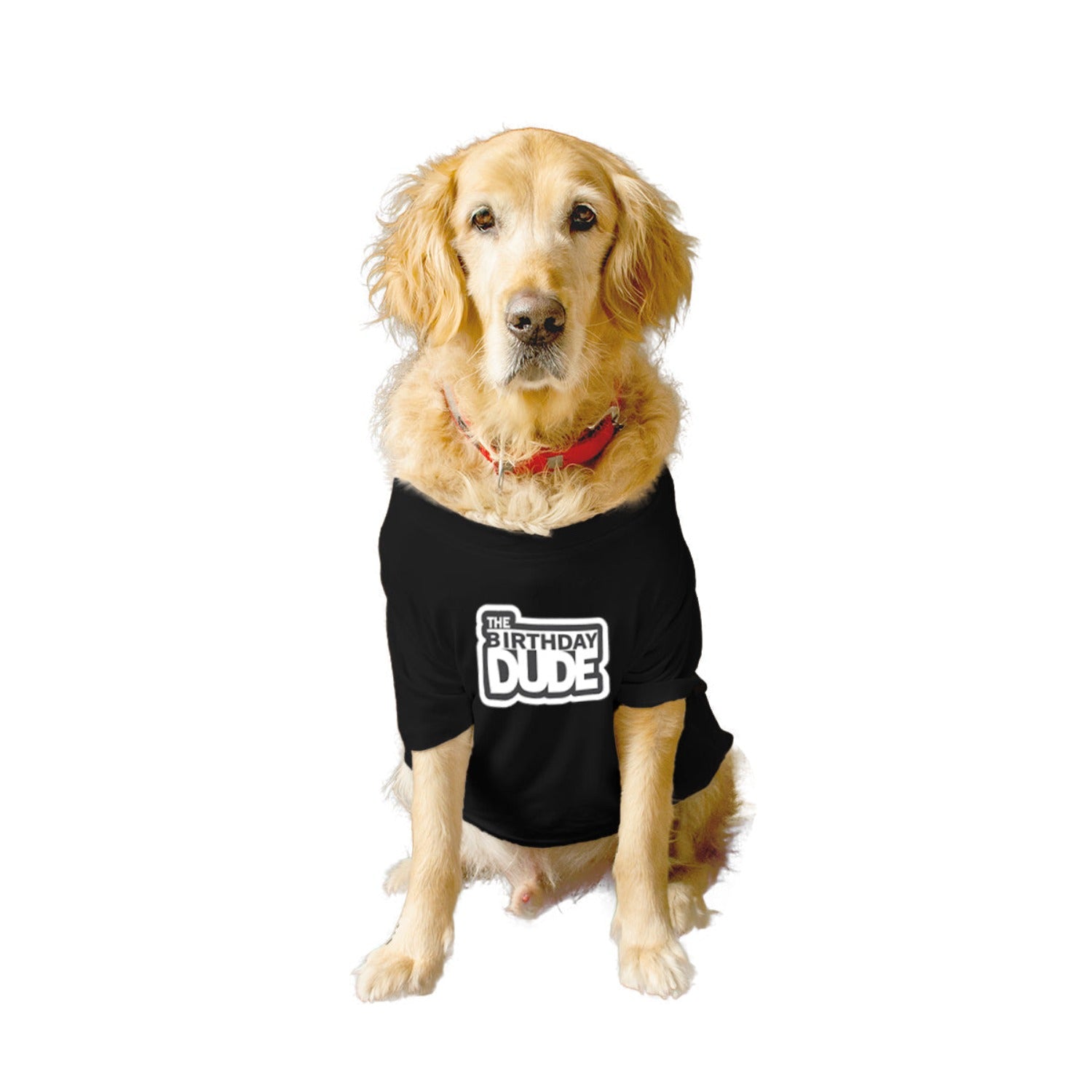 Ruse XX-Small (Chihuahuas, Papillons) / Black Ruse Basic Crew Neck "The Birthday Dude" Printed Half Sleeves Dog Tee8