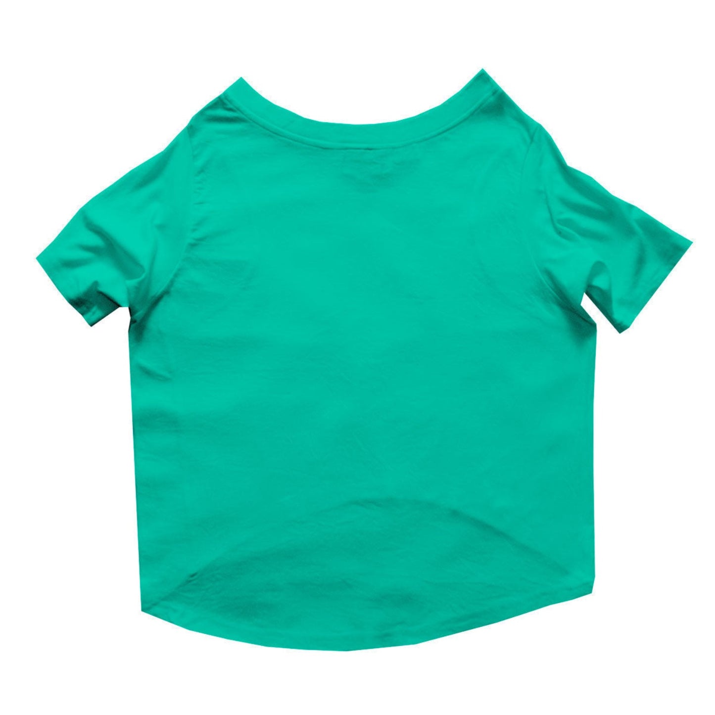 Ruse / i-just-want-to-hang-with-my-human-crew-neck-dog-tee / Aqua Green