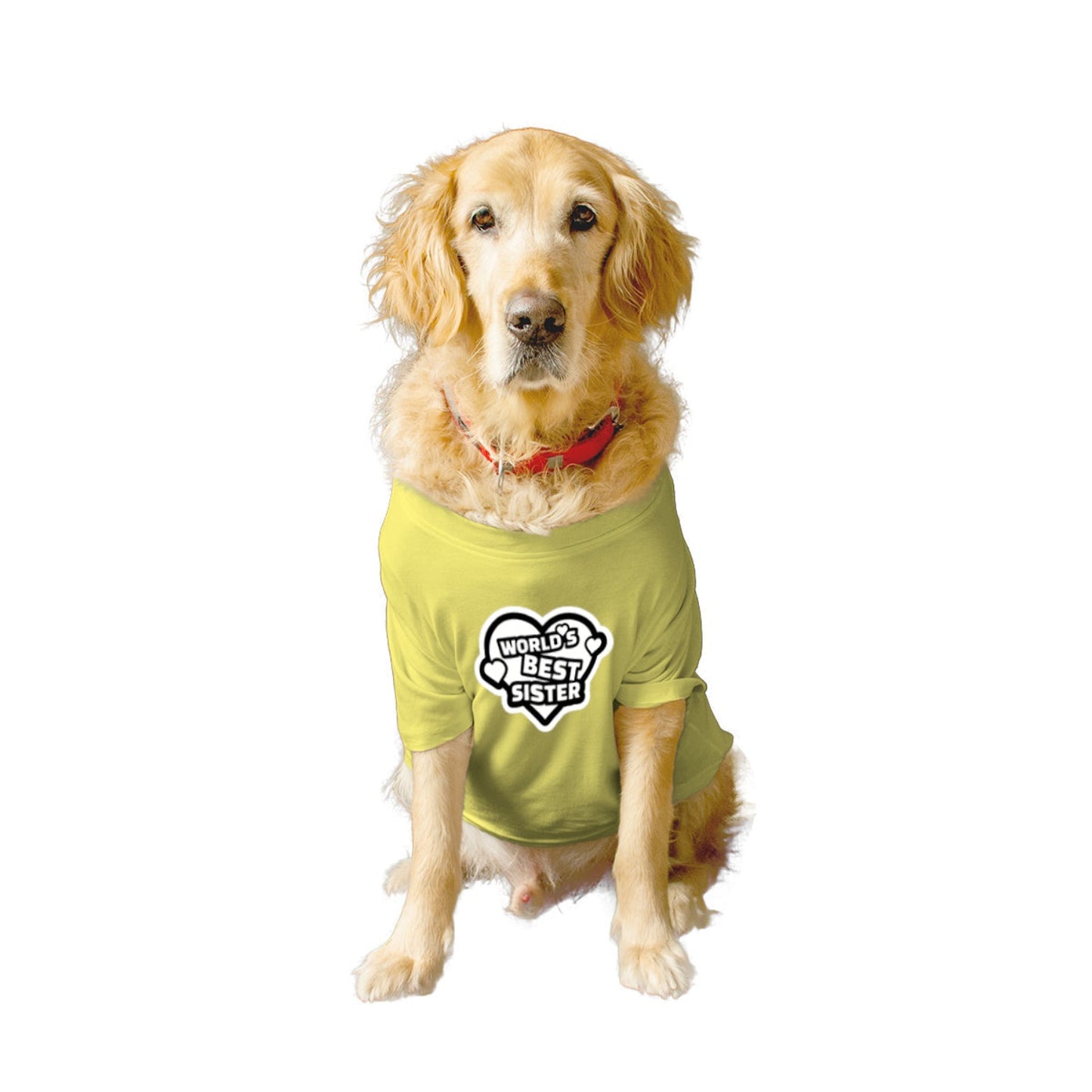 Ruse XX-Small (Chihuahuas, Papillons) / Lemon Tonic Ruse Basic Crew Neck "World's Best Sister" Printed Half Sleeves Dog Tee