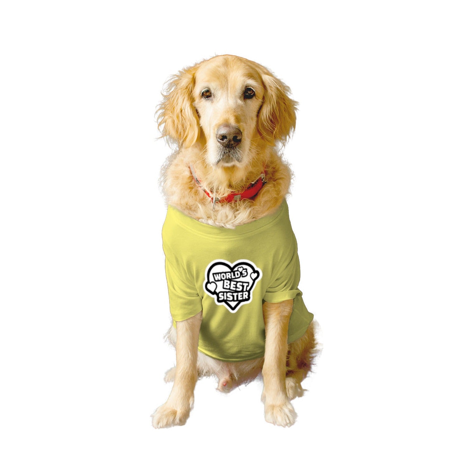 Ruse XX-Small (Chihuahuas, Papillons) / Lemon Tonic Ruse Basic Crew Neck "World's Best Sister" Printed Half Sleeves Dog Tee