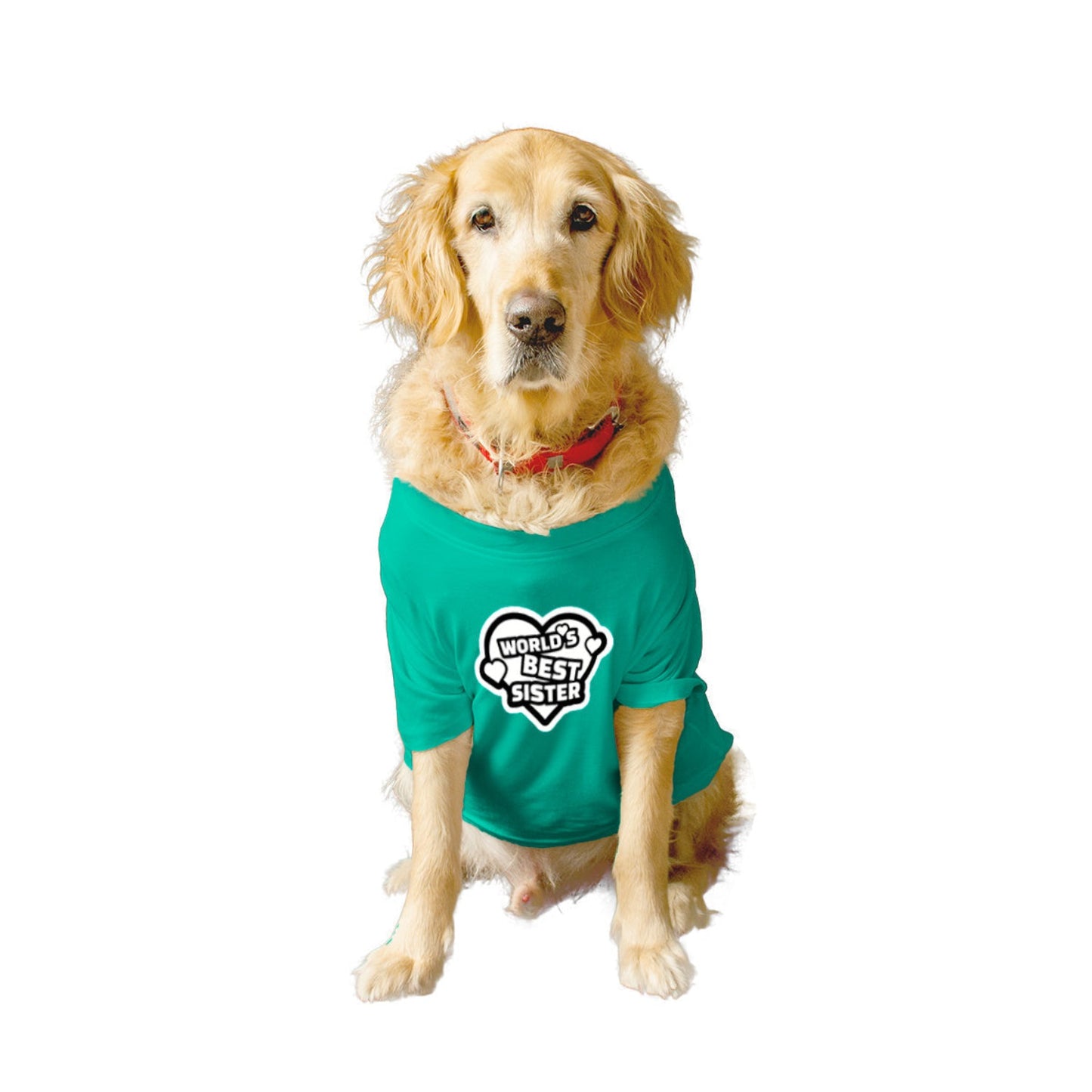 Ruse XX-Small (Chihuahuas, Papillons) / Aqua Green Ruse Basic Crew Neck "World's Best Sister" Printed Half Sleeves Dog Tee