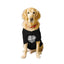Ruse XX-Small (Chihuahuas, Papillons) / Poppy Red Ruse Basic Crew Neck "World's Best Sister" Printed Half Sleeves Dog Tee