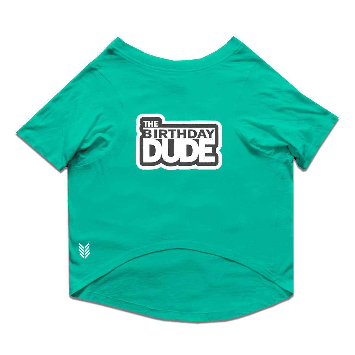 Ruse / Aqua Green Ruse Basic Crew Neck "The Birthday Dude" Printed Half Sleeves Dog Tee13