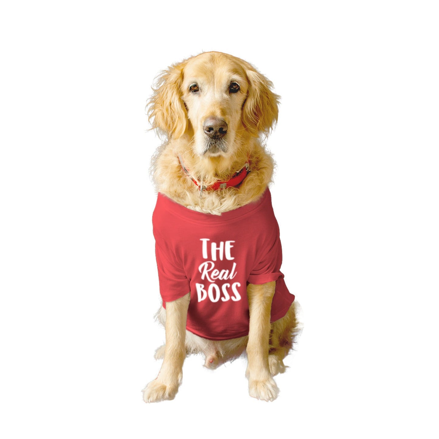 Ruse / the-real-boss-crew-neck-dog-tee / Poppy Red