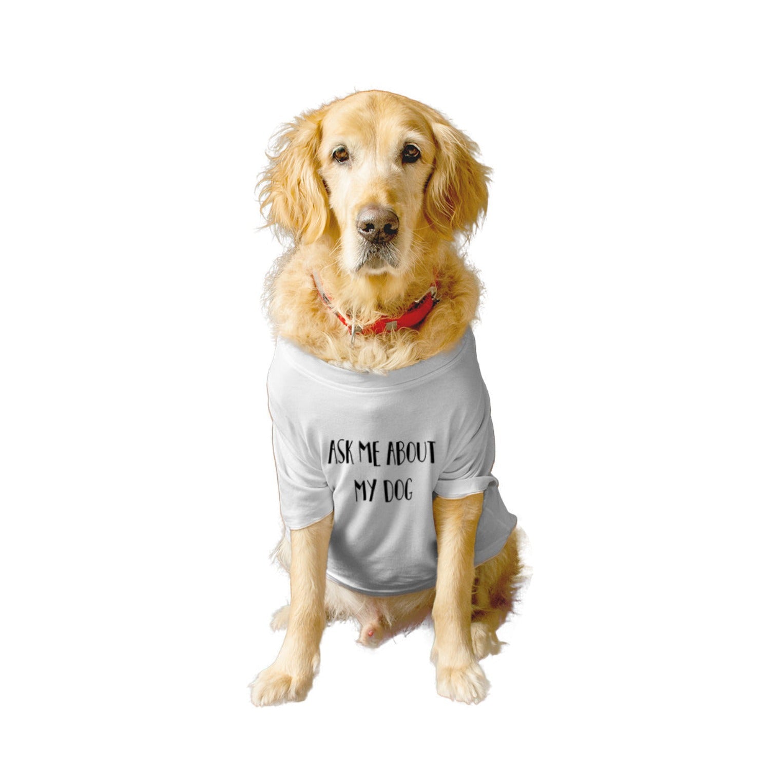 Ruse / ask-me-about-my-human-crew-neck-dog-tee / White