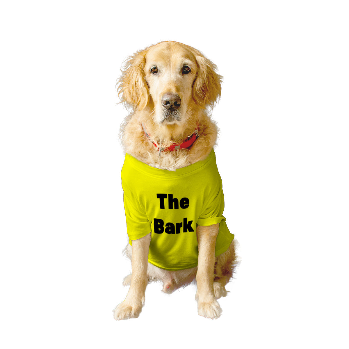 Ruse / the-bark-and-the-bite-crew-neck-dog-tee / Yellow
