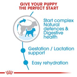 Royal Canin - Mini Starter Dry Dog Food