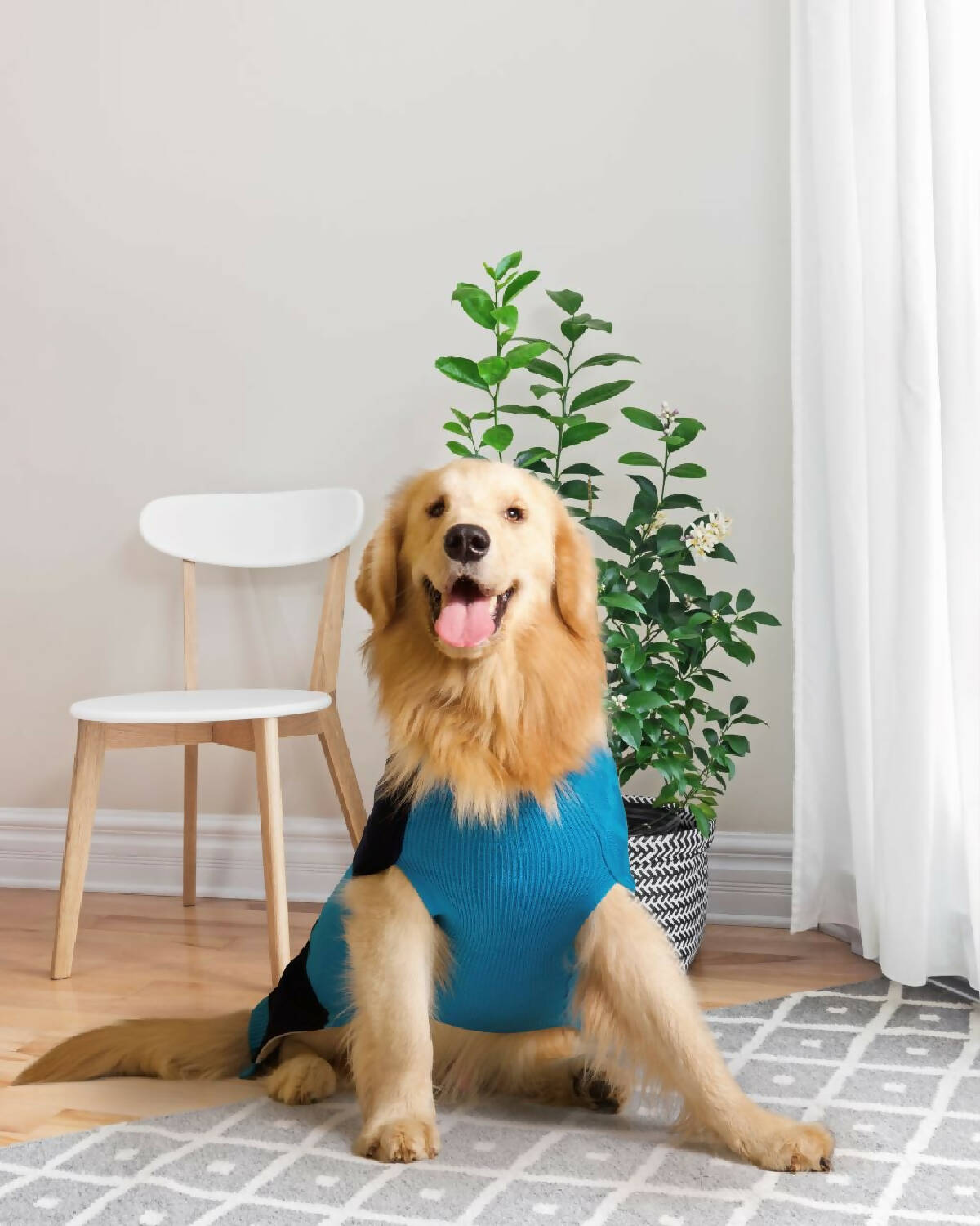 Petsnugs - Half Cable Half Jacquard Sweater for dogs and cats