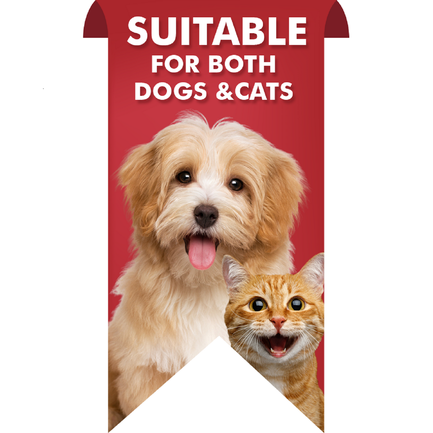 Taggie - Comic Pop Red Pet ID Tag For Dogs & Cats