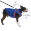 Zoomiez - Ultimate Dog Jacket With Built in Harness - Blue